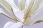 Artificial Flower in White, 110 cm