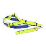 Reflective dog harness with leash (small)